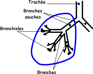 VAInf.gif (11132 bytes)