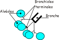 VAInf2.gif (5614 bytes)