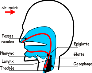 VASup.GIF (11599 bytes)